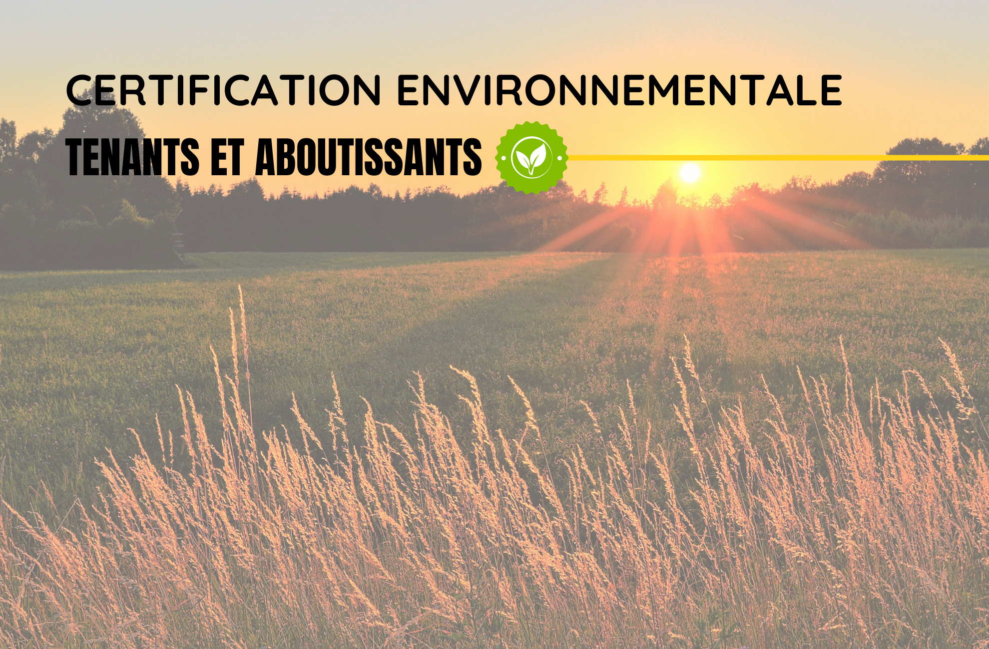 découvrez les certifications soleil, un ensemble de labels garantissant la qualité et la durabilité des produits respectueux de l'environnement. apprenez comment ces certifications contribuent à un mode de vie plus durable et au bien-être de notre planète.