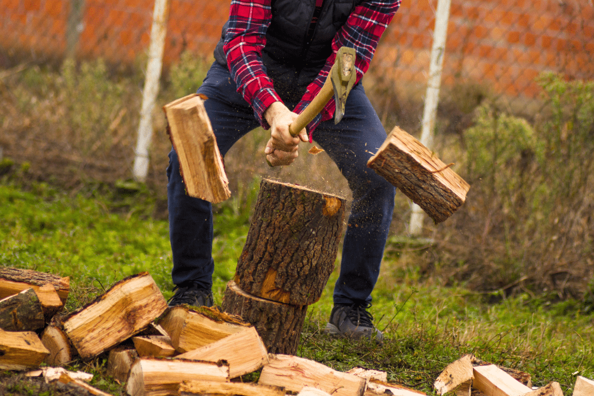 découvrez nos conseils essentiels pour la conservation du bois de chauffage afin de garantir une température agréable et une combustion optimale. apprenez comment choisir, stocker et entretenir votre bois pour profiter pleinement de vos soirées au coin du feu.