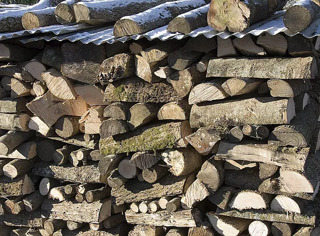 découvrez nos conseils essentiels pour la conservation du bois de chauffage. apprenez à optimiser le stockage, l'humidité et le choix des essences pour garantir un combustible de qualité tout l'hiver.