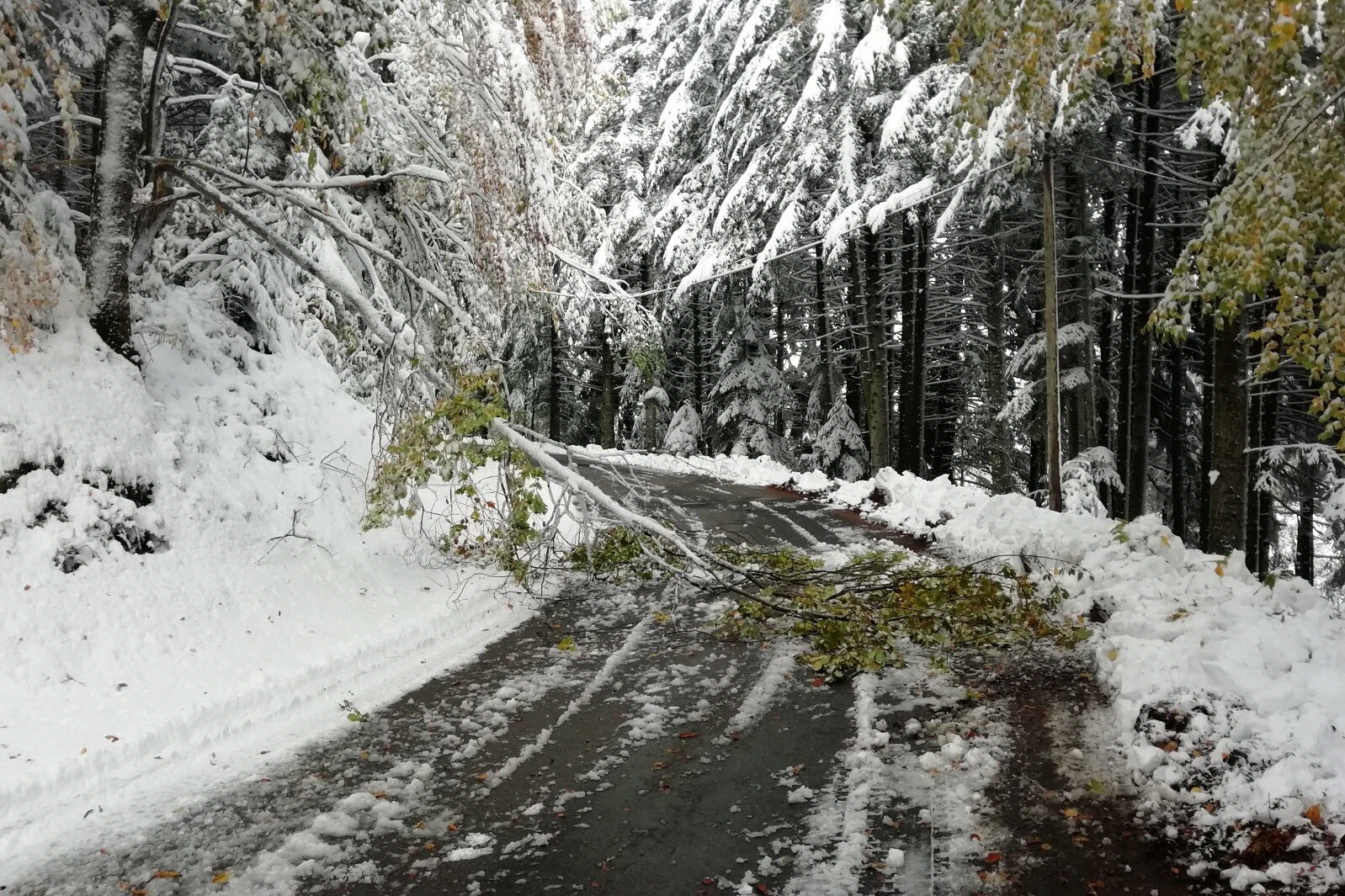 découvrez les conséquences des coupures hivernales sur notre quotidien. apprenez comment se préparer efficacement face aux désagréments causés par les intempéries, tout en explorant des conseils pratiques pour rester au chaud et en sécurité pendant l'hiver.