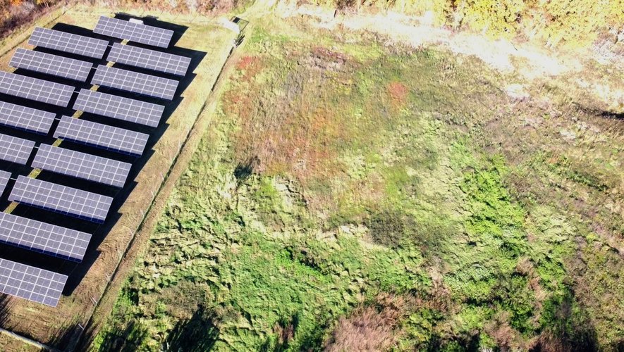 découvrez les avantages d'une décharge pour installateur photovoltaïque : optimisez votre installation solaire, assurez un service rapide et fiable, et bénéficiez d'une gestion efficace de vos équipements solaires. confiez-nous vos projets photovoltaïques !