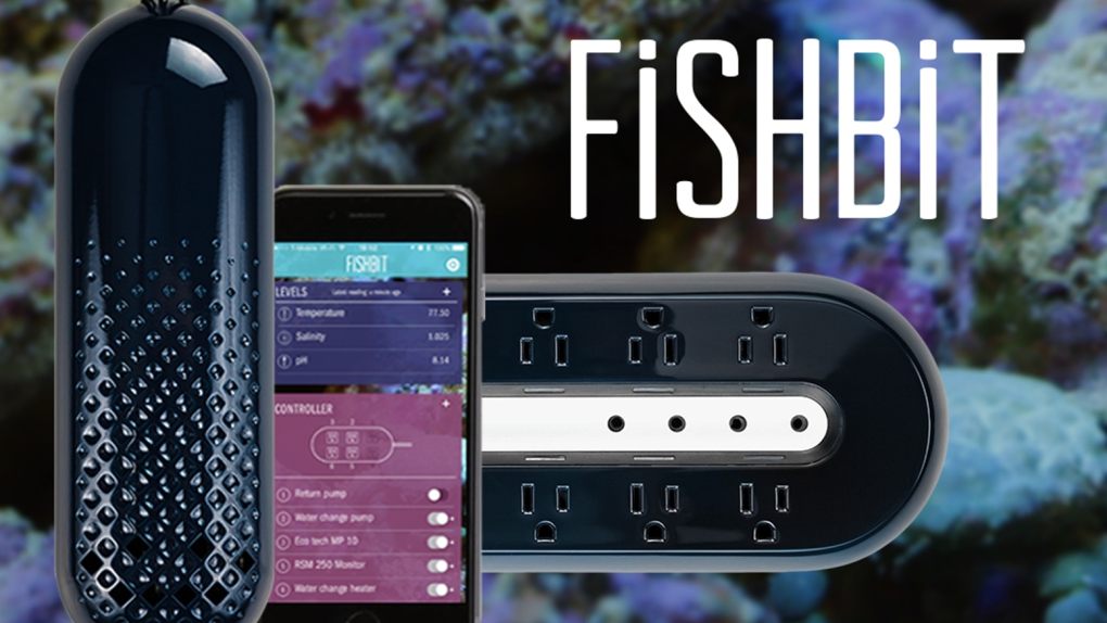 découvrez les meilleures innovations en matière de domotique en 2019 avec notre sélection d'appareils intelligents. transformez votre maison en un foyer connecté et optimisez votre quotidien grâce à des technologies modernes et pratiques.