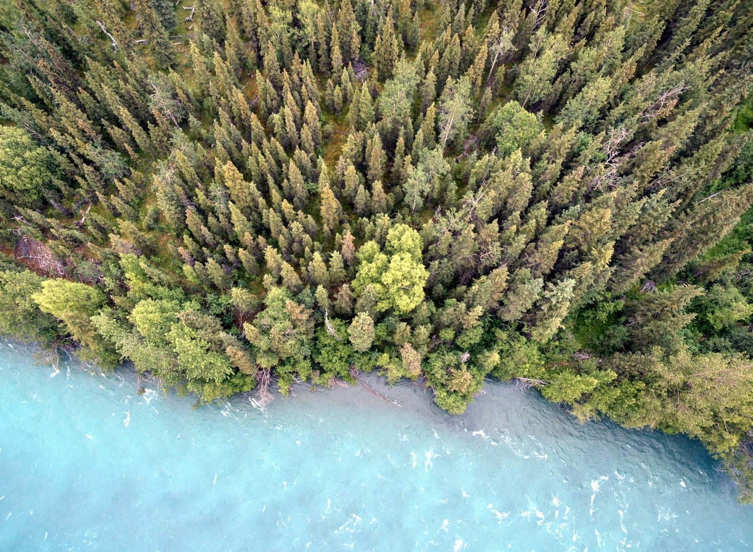 découvrez l'écogénie durable, une approche innovante alliant respect de l'environnement et développement durable. apprenez comment intégrer des pratiques écoresponsables dans votre quotidien pour préserver notre planète tout en optimisant vos ressources.