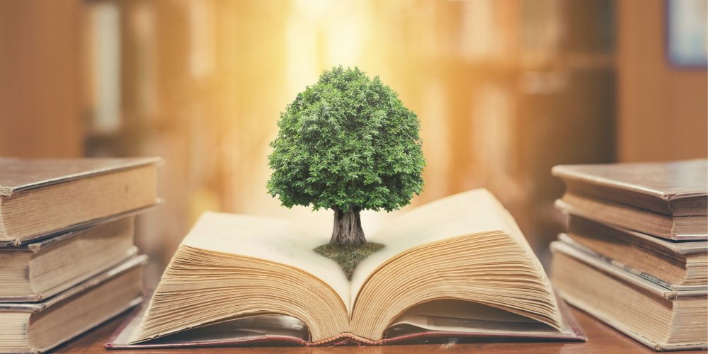 découvrez comment intégrer l'écologie dans les écoles : pratiques durables, sensibilisation des élèves et projets environnementaux pour un avenir meilleur. apprenez à jouer un rôle actif dans la protection de notre planète dès le plus jeune âge.