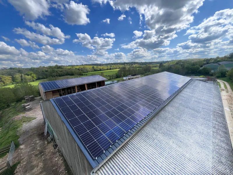 découvrez l'émeraude solaire, une pierre précieuse fascinante qui allie beauté éclatante et propriétés énergétiques uniques. plongez dans le monde des gemmes avec cette gemme rare qui capte la lumière et reflète la chaleur du soleil, idéale pour orner vos bijoux ou comme pierre de collection.