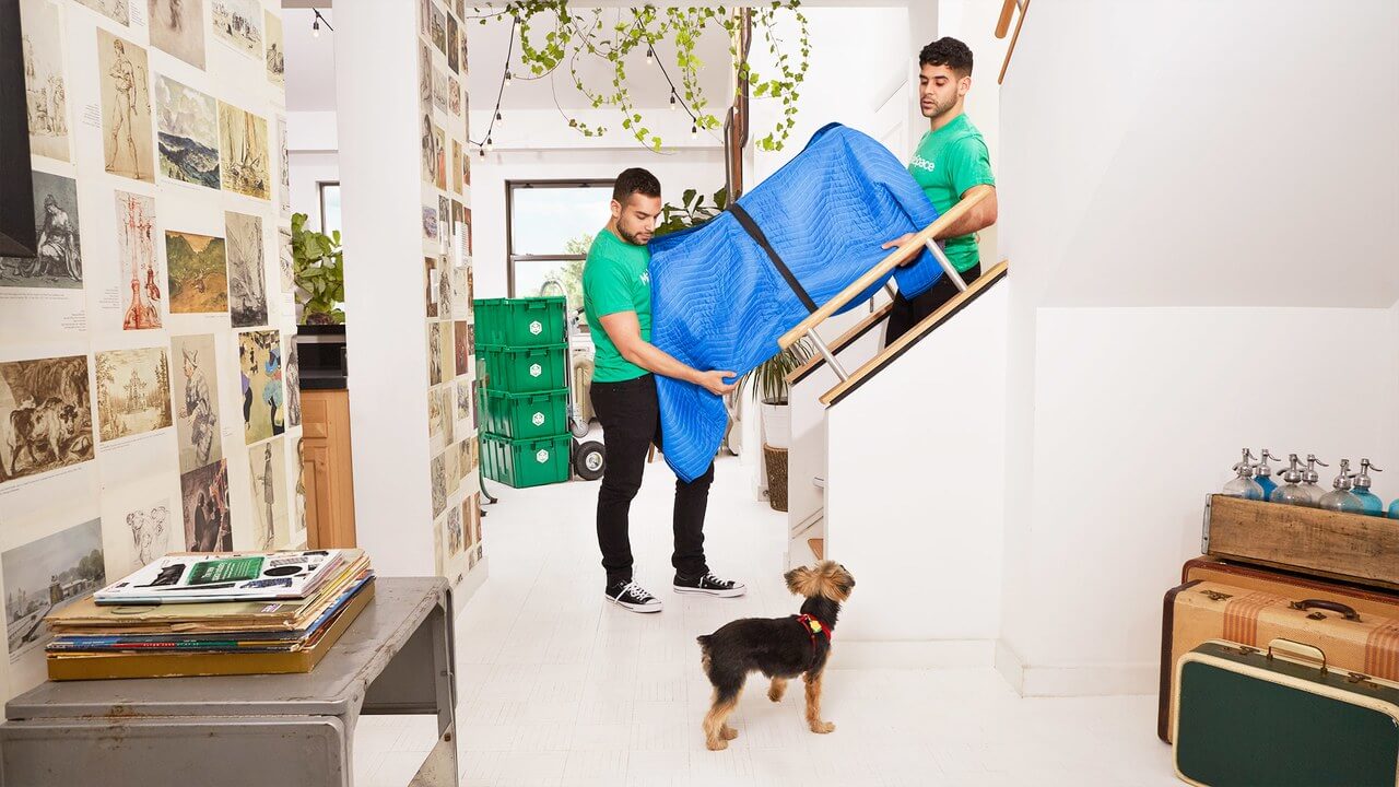 découvrez nos conseils et astuces pour un emménagement économique réussi. optimisez votre budget tout en créant un foyer convivial et accueillant. apprenez à choisir des solutions pratiques et abordables pour chaque étape de votre déménagement.