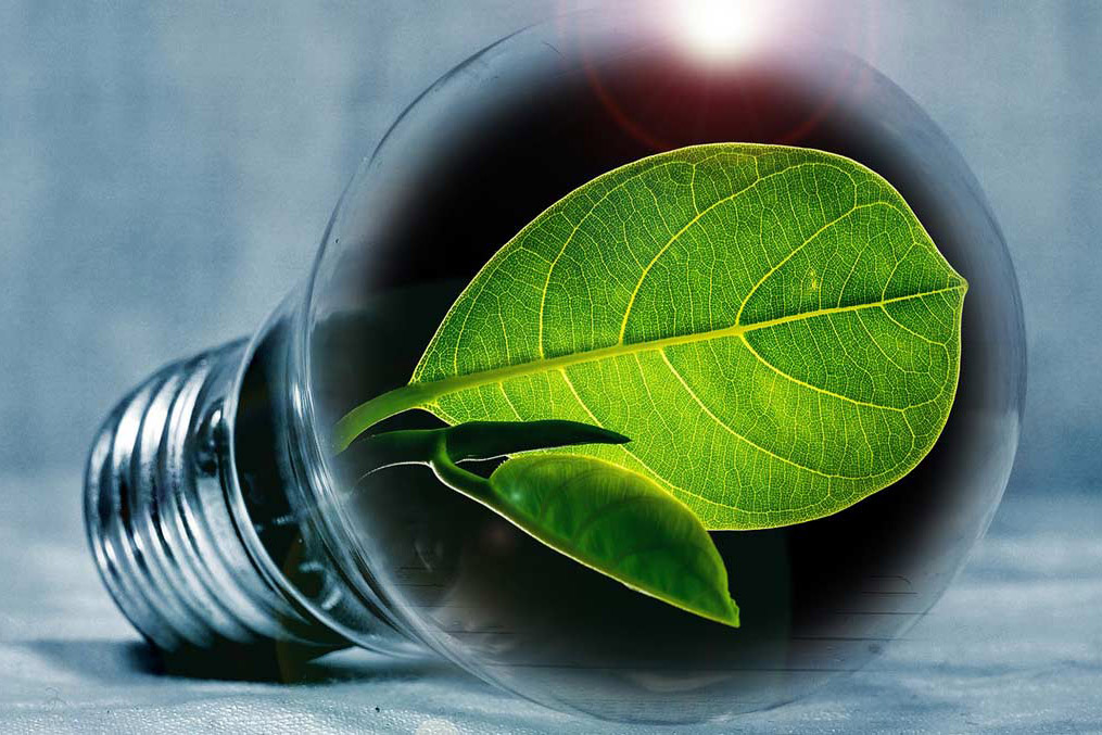 découvrez l'importance de l'énergie durable pour un avenir écologique. explorez les différentes sources d'énergie renouvelable, leurs avantages, et comment elles peuvent contribuer à réduire notre empreinte carbone tout en garantissant un approvisionnement énergétique responsable.