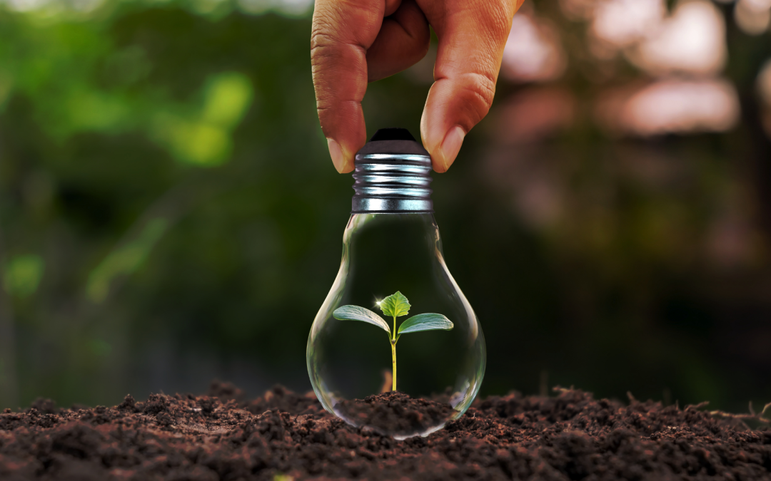 découvrez les enjeux d'un avenir durable, explorez les défis environnementaux, économiques et sociaux qui façonnent notre futur et apprenez comment agir pour un monde plus responsable.