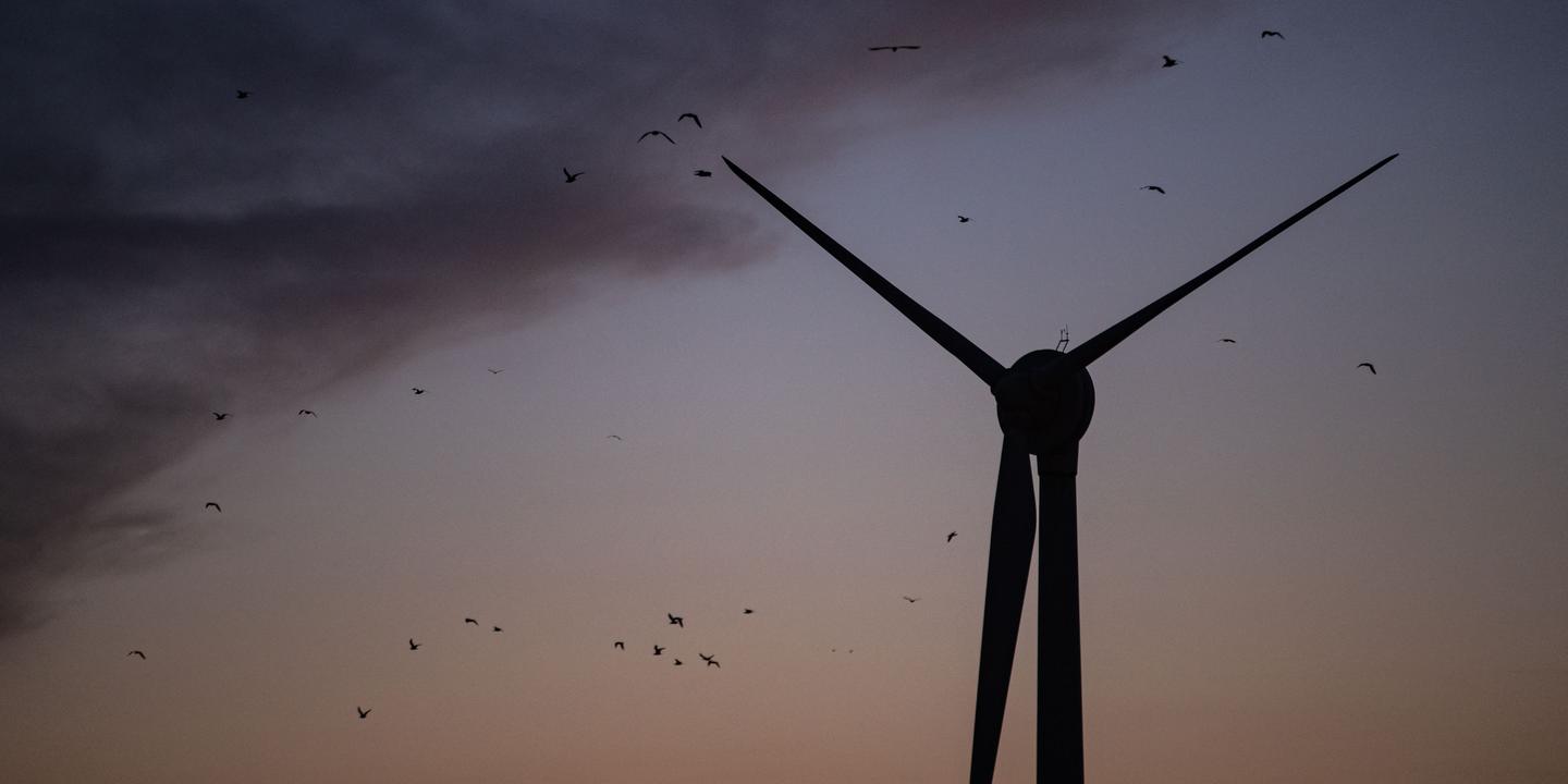 découvrez les opportunités offertes par l'énergie éolienne à montpellier. informez-vous sur les projets locaux, les avantages écologiques et les initiatives durables qui participent à la transition énergétique de la région.