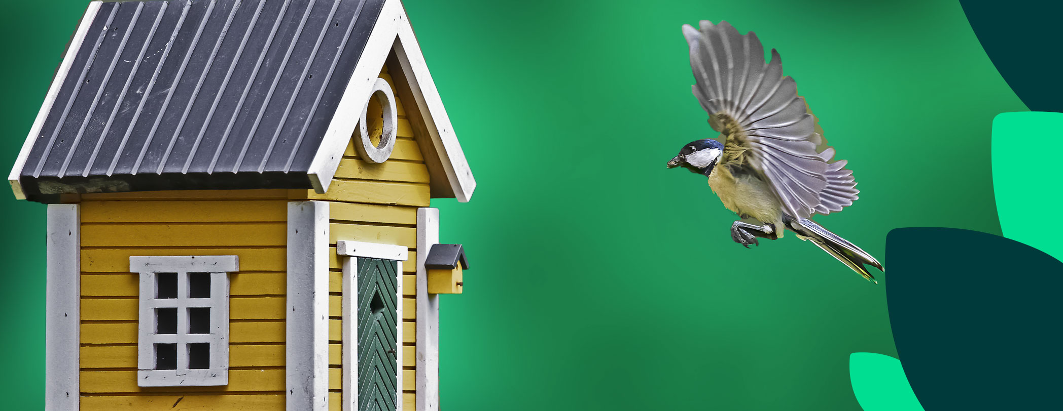 découvrez notre gamme d'équipements de logement respectant les éco-normes, alliant confort, durabilité et respect de l'environnement pour un habitat durable et responsable.
