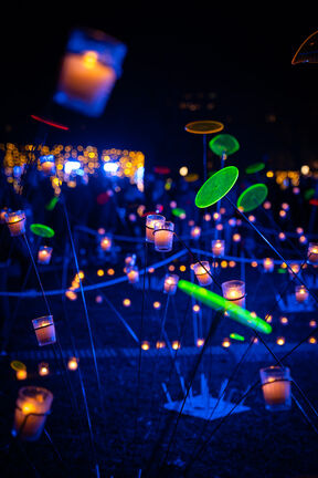 découvrez la fête des lumières éco-responsable, un événement festif et lumineux qui célèbre l'art de l'éclairage tout en respectant notre planète. participez à des installations artistiques éclatantes, des ateliers écoresponsables et des animations pour toute la famille, le tout en minimisant l'impact environnemental.