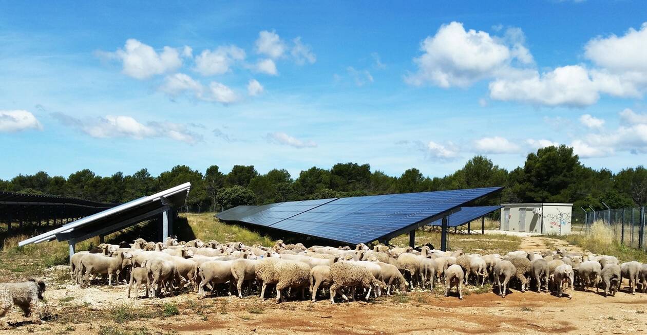 découvrez les enjeux et les avancées des énergies vertes entre la france et le portugal. analyse comparative des politiques énergétiques, innovations et impacts environnementaux de ces deux pays sur la transition énergétique.
