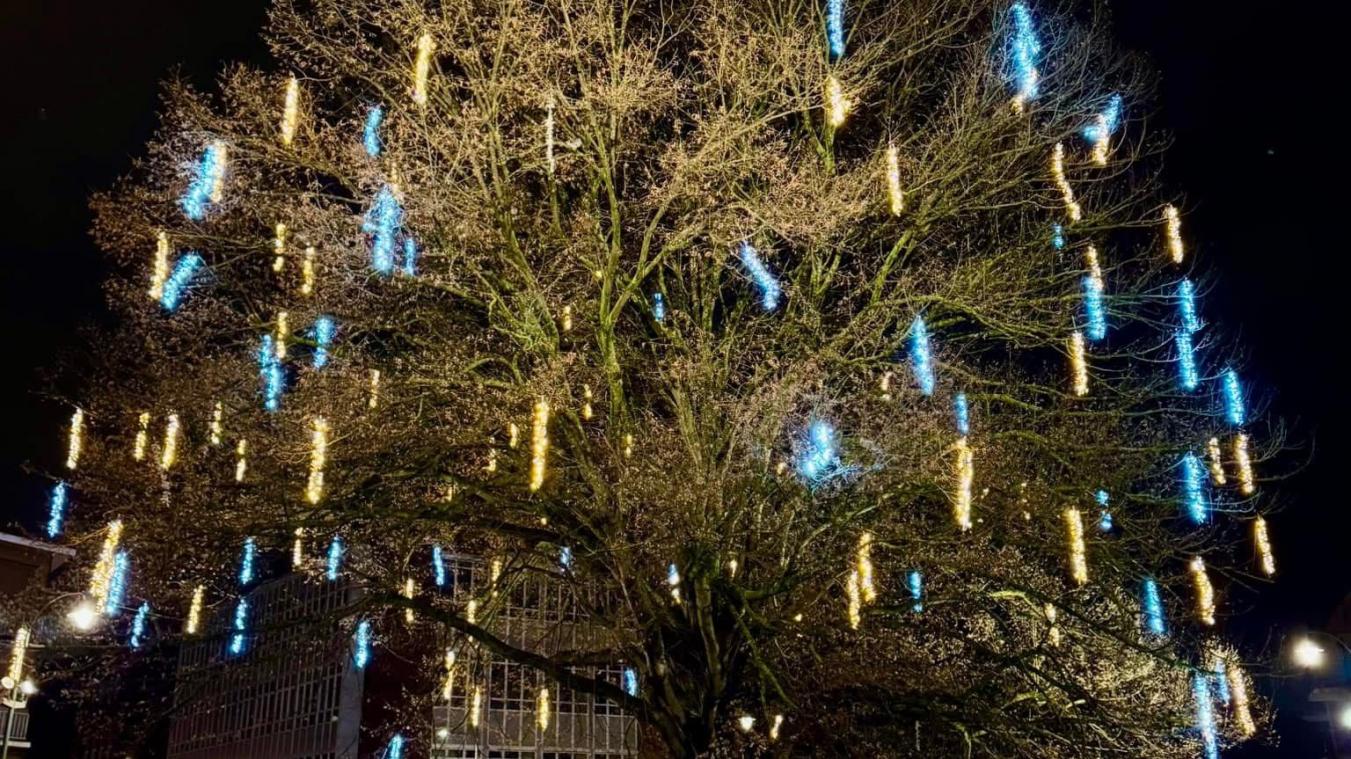 découvrez comment les illuminations de noël influencent nos dépenses énergétiques. cet article analyse l'impact des décorations lumineuses sur la consommation d'électricité, tout en offrant des conseils pour profiter des fêtes tout en respectant l'environnement.