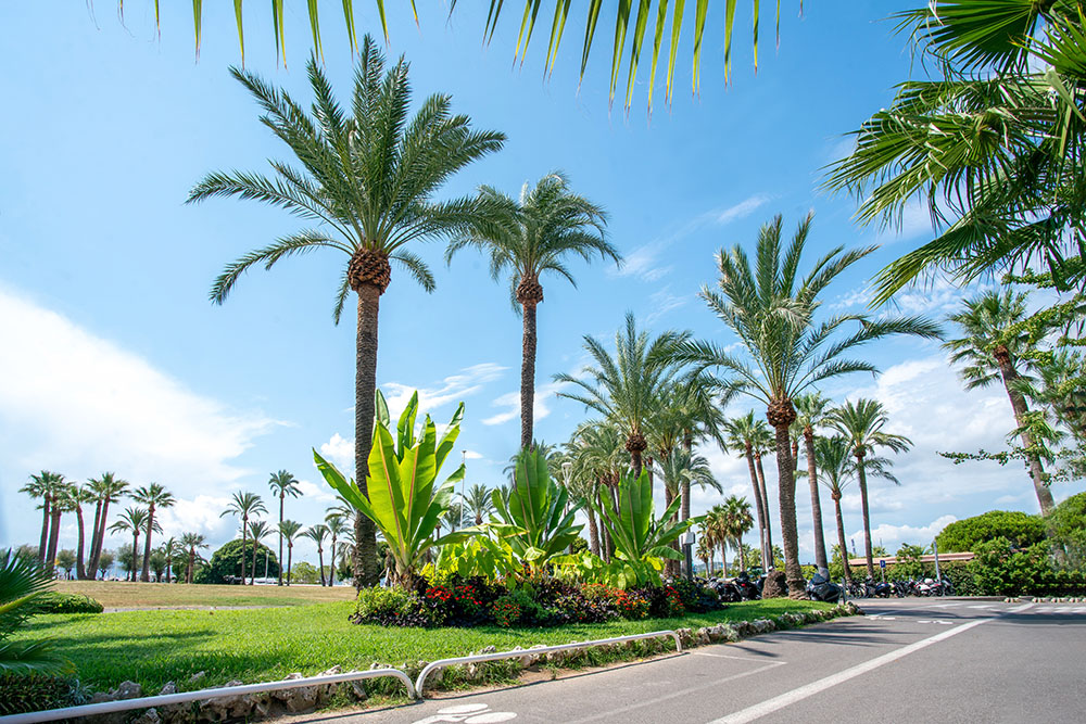 découvrez comment les initiatives écologiques transforment notre société en promouvant des pratiques durables, en préservant notre environnement et en inspirant un changement positif envers un avenir plus vert.