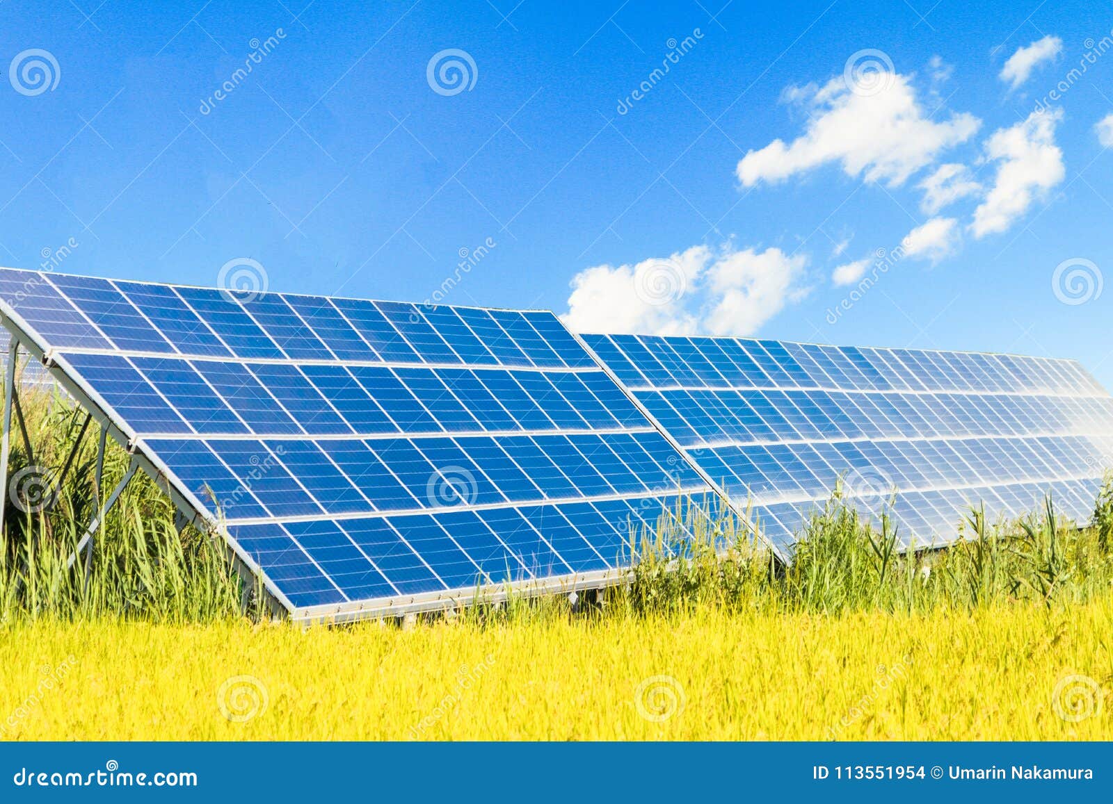 découvrez les dernières innovations en panneaux photovoltaïques, qui révolutionnent la production d'énergie solaire. explorez des technologies avancées, des solutions durables et des performances optimisées pour un avenir énergétique plus vert.