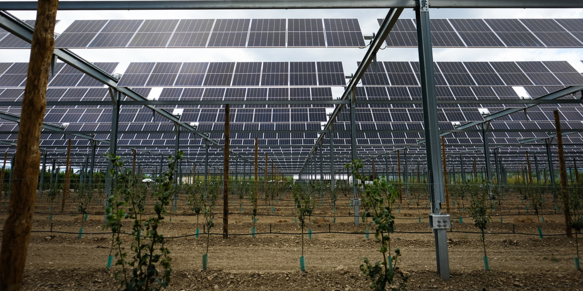 découvrez notre service d'installation de panneaux photovoltaïques en languedoc. profitez d'une énergie verte et réduisez vos factures d'électricité grâce à nos solutions adaptées à vos besoins. faites le choix d'un avenir durable dès aujourd'hui !