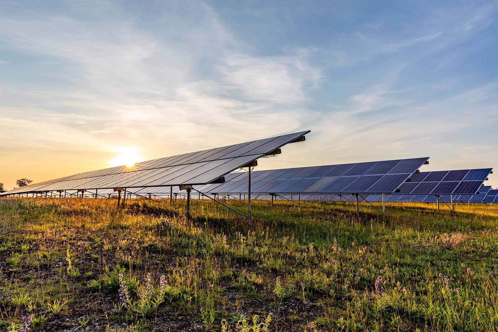 découvrez notre service d'installateur photovoltaïque à paris, spécialisé dans l'installation de panneaux solaires pour maximiser votre production d'énergie renouvelable. profitez d'une expertise locale, d'un accompagnement personnalisé et d'installations de qualité pour réduire votre facture d'électricité et contribuer à la transition énergétique. contactez-nous dès aujourd'hui pour un devis gratuit !