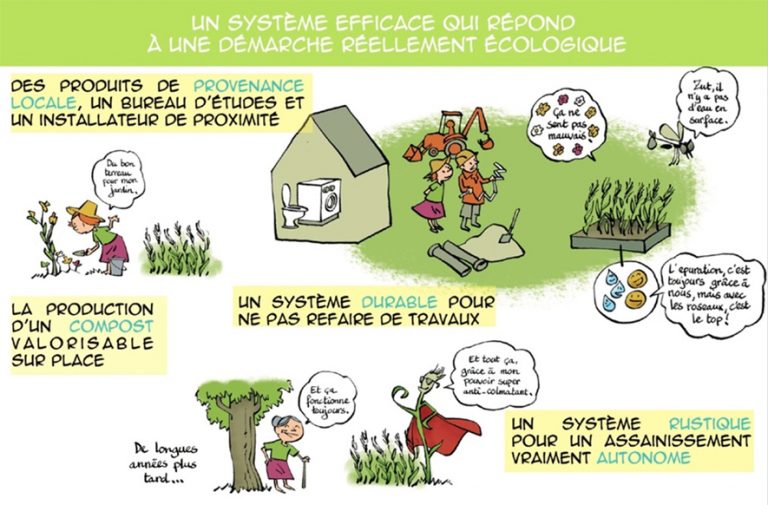 découvrez nos services d'installateur phyto, expert en aménagement paysager durable. nous vous accompagnons dans la création d'espaces verts respectueux de l'environnement, grâce à des solutions innovantes et écologiques adaptées à vos besoins.