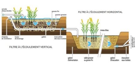 découvrez nos services d'installateur phyto, spécialisés dans la mise en place de solutions écologiques et durables pour la gestion des espaces verts. optimisez vos jardins avec des techniques respectueuses de l'environnement.
