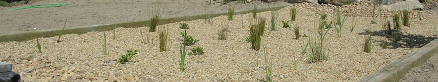 découvrez nos services d'installation de systèmes de phytosanitaires pour une gestion écologique et durable de vos cultures. profitez de notre expertise en installateur phyto pour garantir la santé de vos plantations tout en respectant l'environnement.