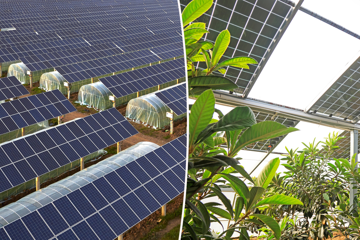 découvrez comment les panneaux solaires agricoles peuvent transformer votre exploitation en une source d'énergie durable, tout en réduisant vos coûts et en préservant l'environnement. adoptez une solution innovante pour un avenir plus vert.