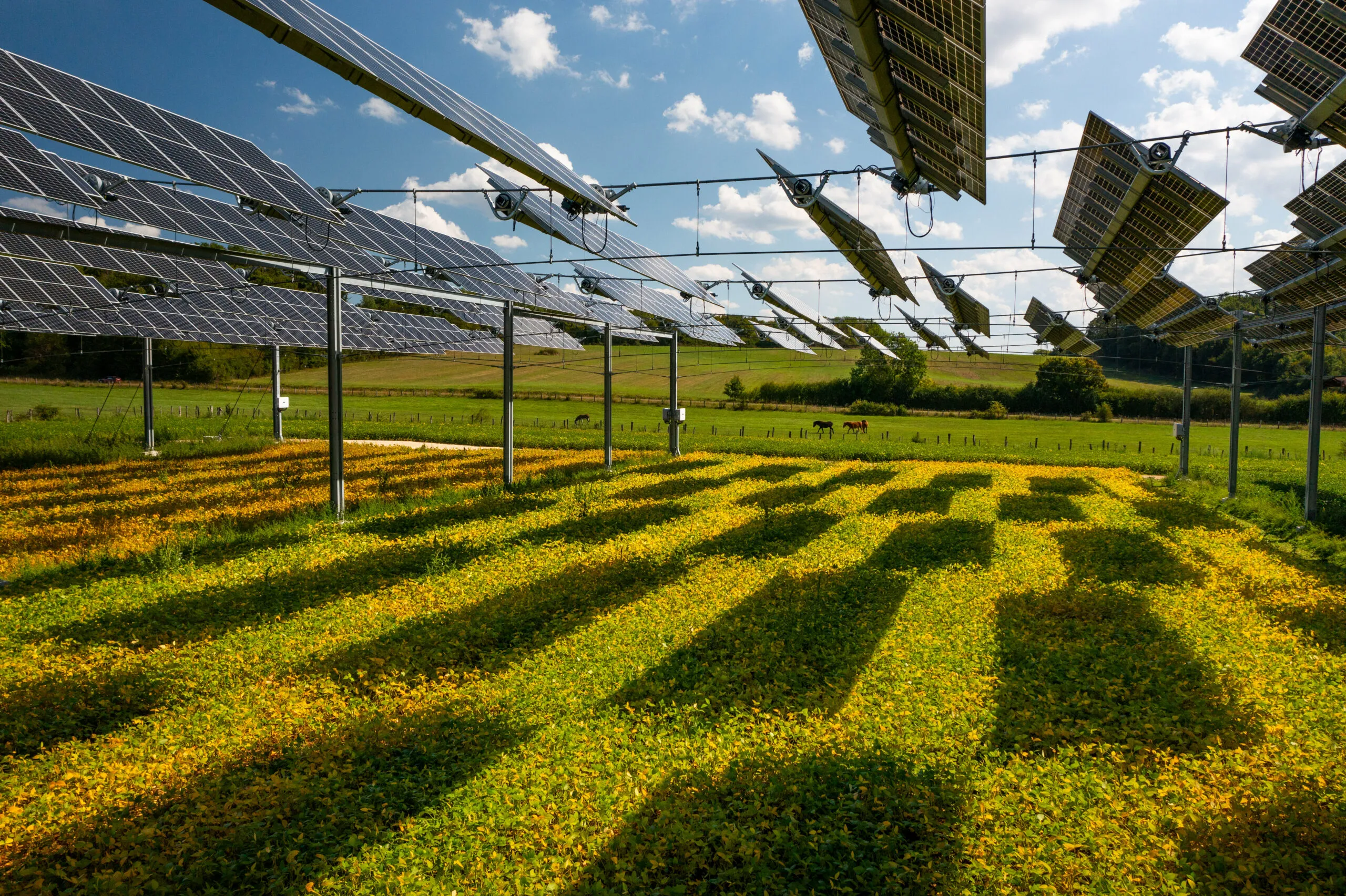 découvrez comment les panneaux solaires peuvent transformer l'agriculture durable, en réduisant les coûts énergétiques et en augmentant l'efficacité des exploitations agricoles. explorez les avantages des solutions solaires pour les agriculteurs et leur impact sur l'environnement.