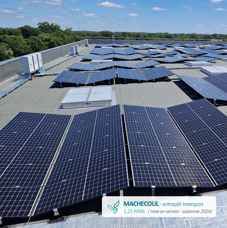 découvrez nos solutions de panneaux solaires en loire-atlantique pour réduire vos factures d'énergie et contribuer à la transition énergétique. profitez d'une énergie verte et durable tout en valorisant votre habitat.