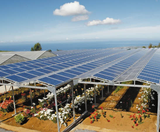 découvrez comment le photovoltaïque agricole transforme les exploitations en combinant production d'énergie renouvelable et rentabilité. maximisez votre rendement tout en préservant l'environnement grâce à des solutions innovantes adaptées aux besoins des agriculteurs.