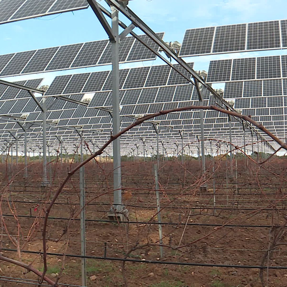 découvrez les pionniers photovoltaïques, des experts qui révolutionnent le secteur de l'énergie solaire. apprenez comment ils ont façonné l'avenir des énergies renouvelables grâce à des innovations durables et des solutions écologiques.