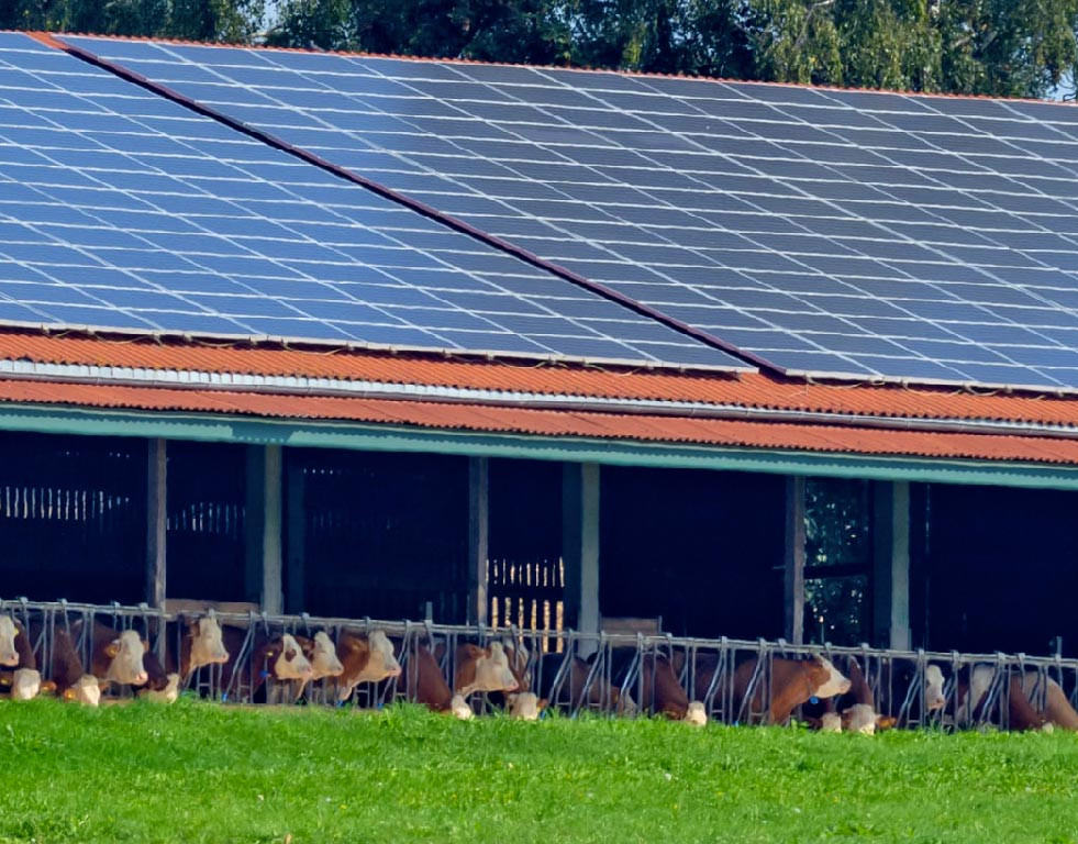 découvrez les prix compétitifs et les nombreux avantages des hangars photovoltaïques. optimisez votre espace tout en générant de l'énergie durable grâce à des solutions sur mesure adaptées à vos besoins. informez-vous sur l'impact économique et écologique de ces structures innovantes.