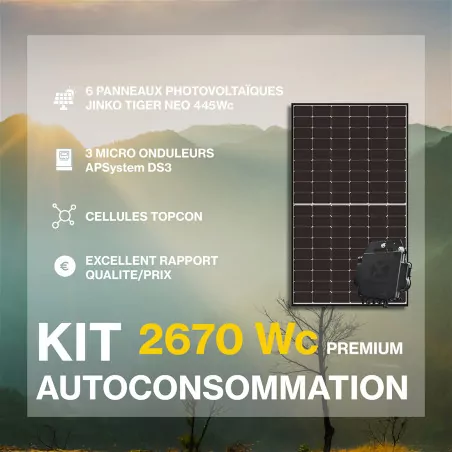 découvrez les prix des onduleurs photovoltaïques pour optimiser votre installation solaire. comparez les modèles, évaluez les performances et trouvez la solution idéale pour maximiser votre production d'énergie renouvelable.
