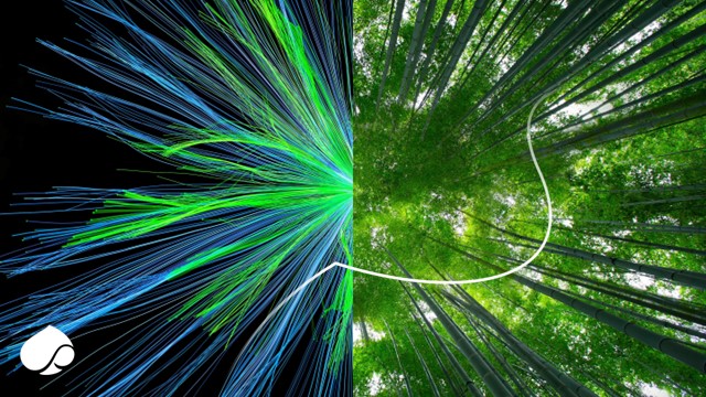 découvrez les dernières innovations en matière de technologies durables qui transforment notre manière de vivre et de consommer. explorez des solutions écologiques pour un avenir plus respectueux de l'environnement.
