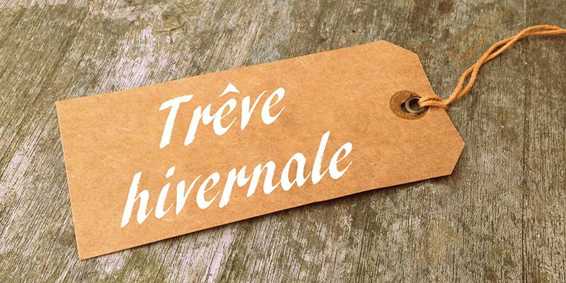 découvrez tout ce que vous devez savoir sur la trêve hivernale de 2018 : dates clés, impacts sur les locataires et les propriétaires, ainsi que les droits et protections offertes durant cette période. informez-vous pour mieux comprendre vos droits en matière de logement tout en restant à jour sur les dernières actualités.