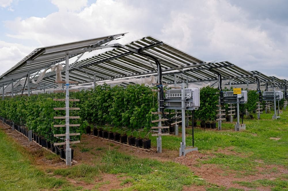 découvrez l'agri-photovoltaïque : une solution innovante alliant agriculture et énergie solaire. maximisez vos terres cultivables tout en produisant de l'énergie propre, favorisant ainsi la durabilité environnementale et la rentabilité de vos exploitations. apprenez comment cette technologie révolutionnaire transforme l'agriculture moderne.