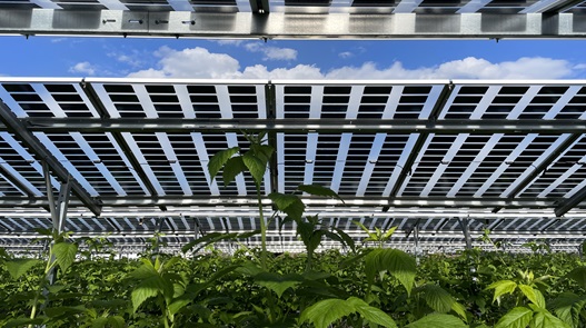découvrez les perspectives de l'agri-photovoltaïque en 2025, une solution innovante qui combine agriculture et production d'énergie solaire. apprenez comment ces systèmes peuvent non seulement améliorer la rentabilité des exploitations agricoles, mais aussi contribuer à la transition énergétique et à la durabilité environnementale.