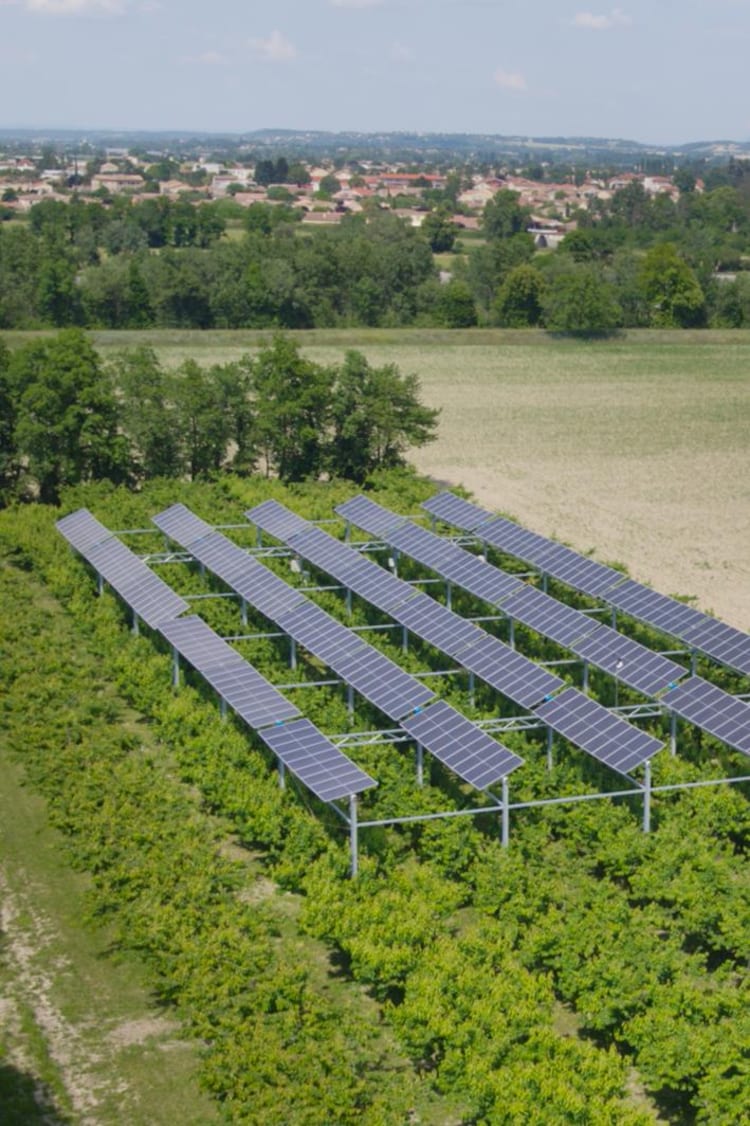 découvrez comment l'agriculture solaire révolutionne le secteur agroalimentaire en alliant production agricole et énergies renouvelables. explorez les techniques innovantes, les avantages écologiques et économiques de cette pratique durable.