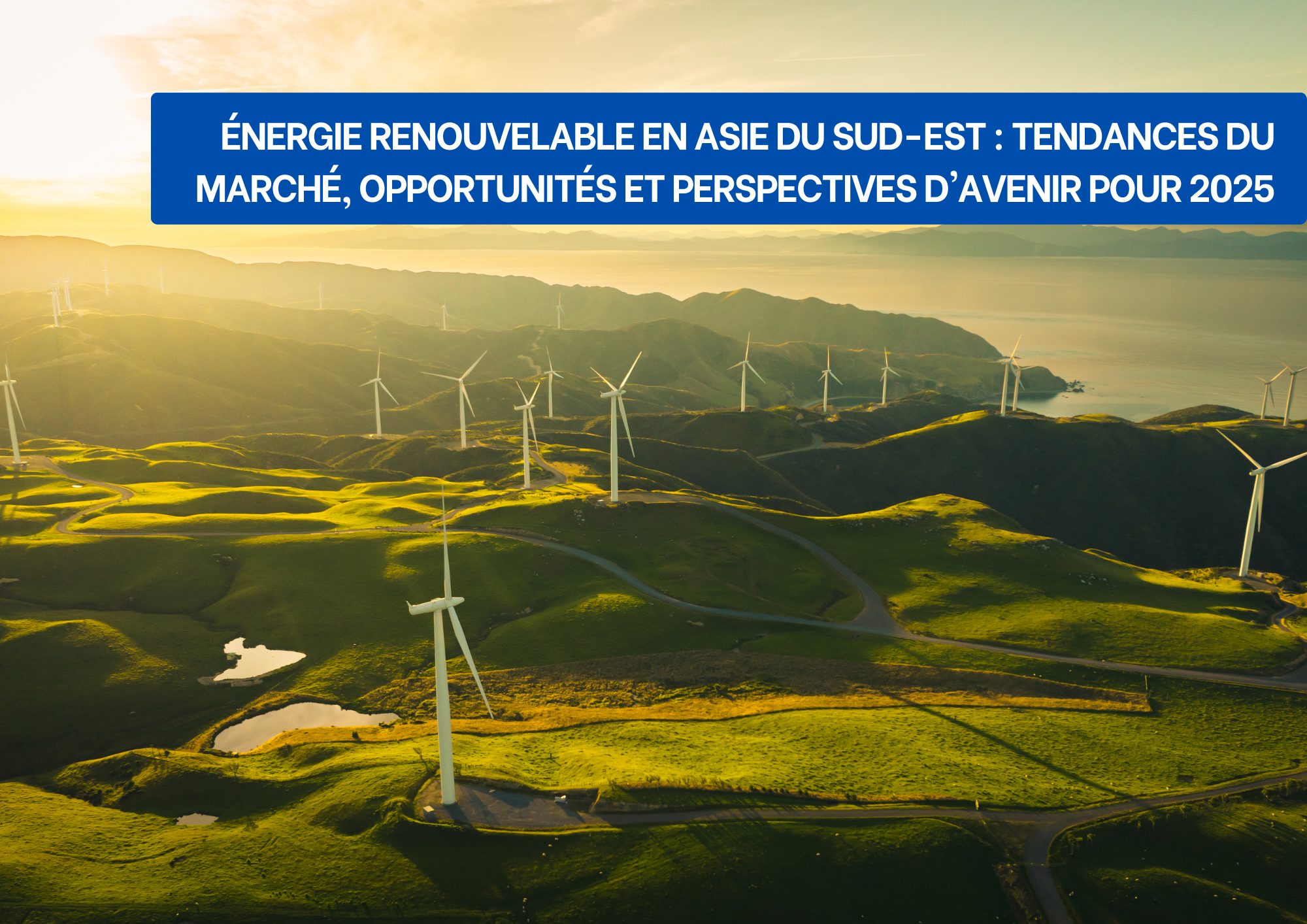 découvrez les enjeux et les opportunités de l'avenir des énergies renouvelables. plongez dans un monde durable où l'innovation technologique et les solutions écologiques rencontrent les défis contemporains pour un avenir énergétique responsable.