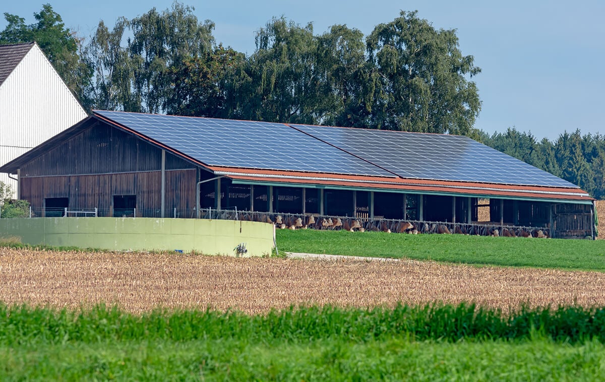 découvrez les avantages des bâtiments agricoles photovoltaïques : une solution écologique pour optimiser la production d'énergie, réduire les coûts d'électricité et contribuer à une agriculture durable tout en préservant l'environnement.