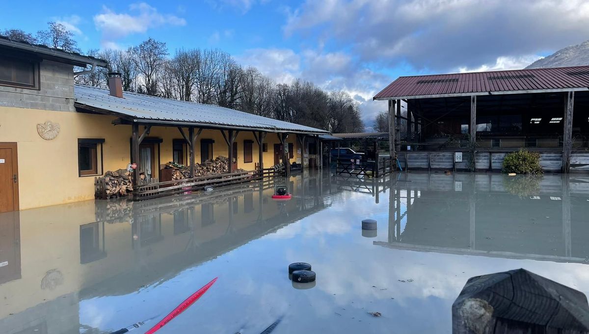 découvrez le bâtiment équestre pv, un espace conçu pour le bien-être des chevaux et l'optimisation des installations d'équitation. idéal pour les cavaliers et passionnés, notre bâtiment offre des commodités modernes et adaptées aux besoins des chevaux.