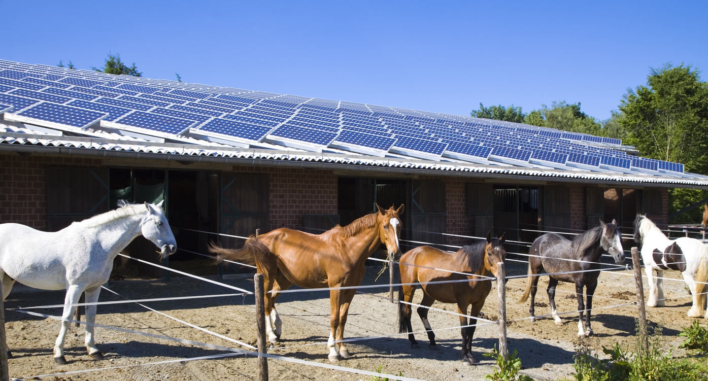 découvrez notre bâtiment équestre pv, conçu pour offrir un espace optimal pour le confort de vos chevaux. construits avec des matériaux de qualité, nos installations garantissent sécurité et bien-être, tout en répondant aux exigences des professionnels et des passionnés d'équitation.