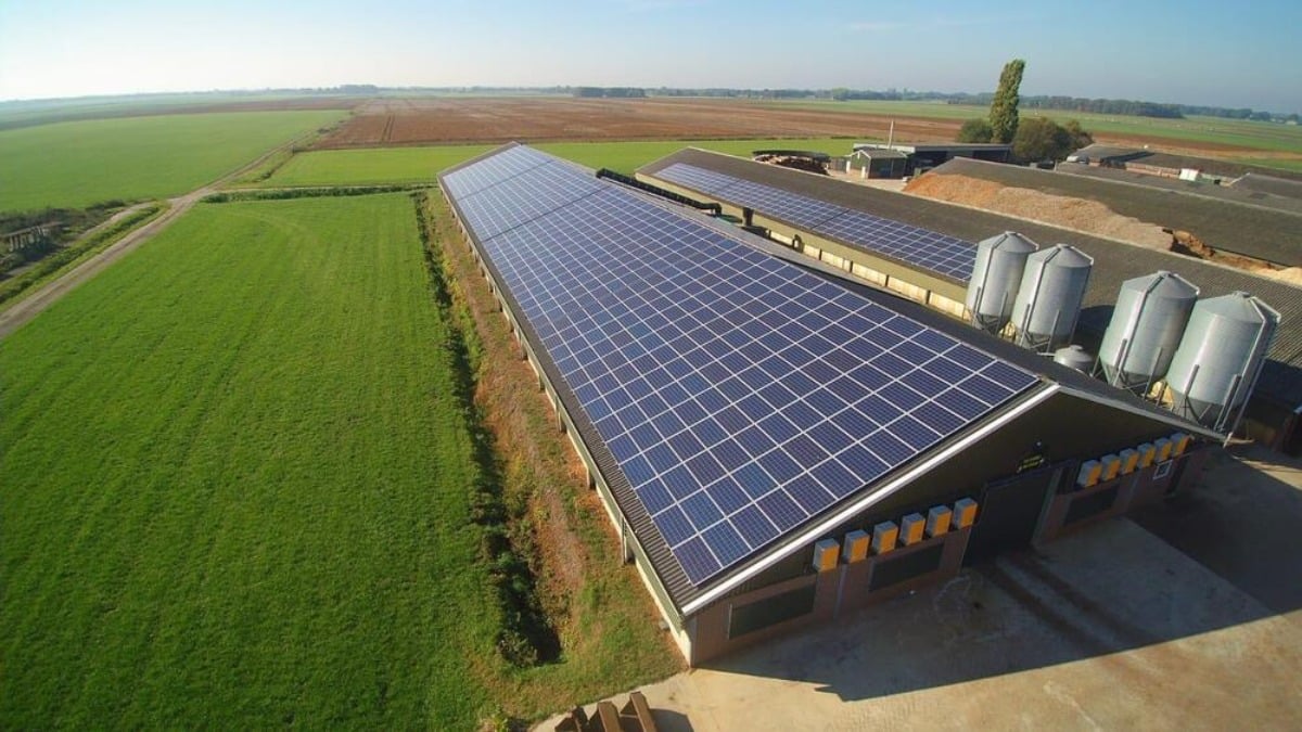 découvrez les avantages des bâtiments photovoltaïques, conçus pour optimiser la production d'énergie solaire tout en respectant l'environnement. apprenez comment ces structures innovantes peuvent réduire vos factures d'électricité et contribuer à un avenir durable.