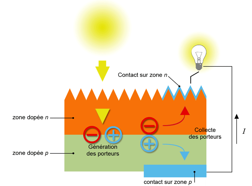 découvrez la définition des panneaux photovoltaïques et apprenez comment ces dispositifs convertissent la lumière du soleil en électricité. informez-vous sur leurs avantages, leur fonctionnement et leur impact dans la transition énergétique.