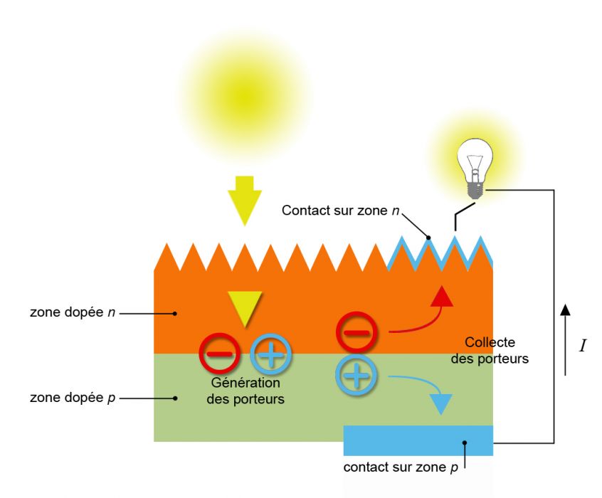 découvrez la définition du photovoltaïque, une technologie innovante qui convertit la lumière du soleil en électricité. explorez son fonctionnement, ses avantages et son impact sur les énergies renouvelables.