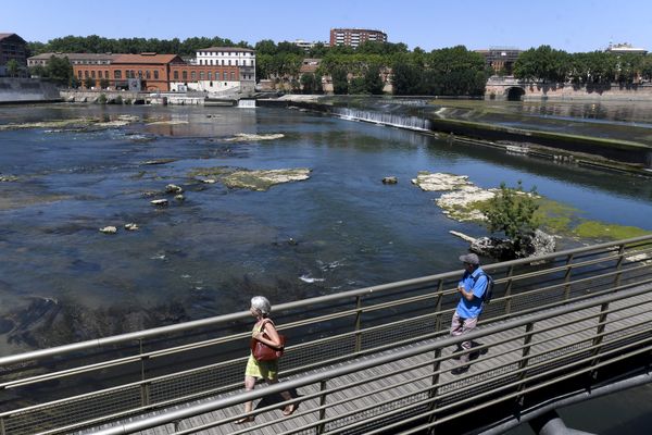 découvrez edf toulouse, votre fournisseur d'énergie local qui propose des offres adaptées à vos besoins. profitez de conseils personnalisés et de services pour une consommation électrique optimisée et durable.