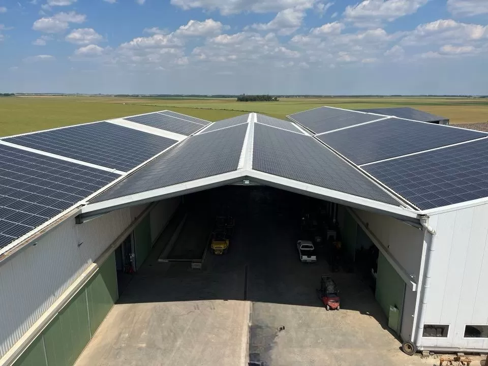 découvrez l'émerveillement de l'émeraude solaire, une pierre précieuse captivante qui allie beauté et énergie. apprenez-en plus sur ses propriétés uniques, son histoire fascinante et ses applications en bijouterie.