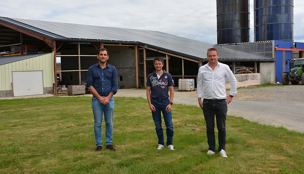 découvrez l'éclat de l'émeraude solaire, une pierre précieuse fascinante qui allie beauté et énergie positive. explorez ses propriétés, ses vertus et comment l'intégrer dans votre quotidien pour attirer la chance et la prospérité.