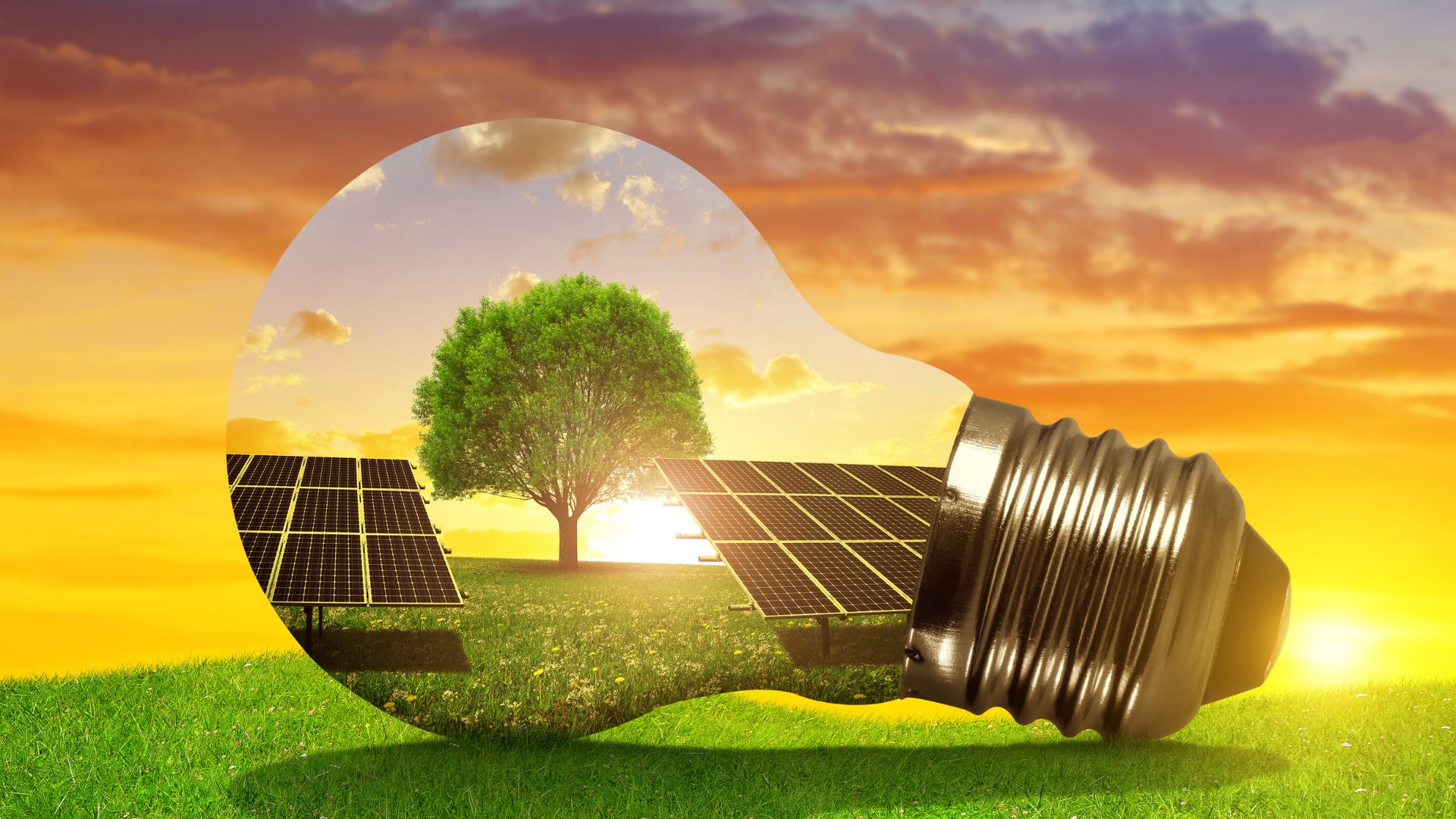 découvrez comment l'énergie solaire transforme notre avenir énergétique. apprenez les avantages de l'énergie renouvelable, ses applications et son impact positif sur l'environnement. adoptez une solution durable pour une planète plus verte!