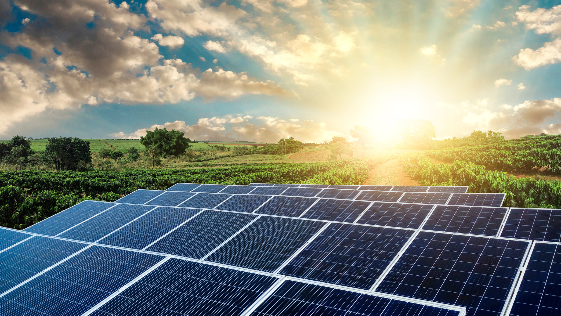 découvrez comment l'énergie solaire transforme notre quotidien en offrant une source d'énergie renouvelable, propre et économique. informez-vous sur les avantages, les technologies et les applications de l'énergie solaire pour un avenir durable.