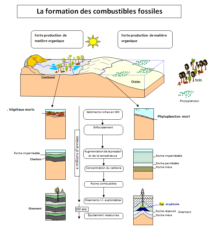 découvrez notre guide sur l'exercice d'énergie solaire, une approche pratique pour comprendre et appliquer les principes de l'énergie solaire dans vos projets. apprenez à maximiser l'utilisation de cette ressource renouvelable et à réduire votre empreinte carbone.