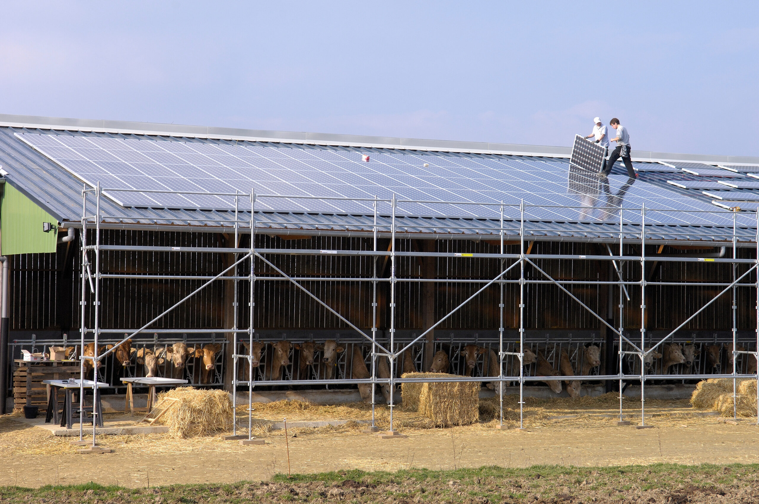 découvrez notre ferme photovoltaïque agricole, un espace dédié à la production d'énergie renouvelable tout en soutenant l'agriculture durable. nous combinons innovation technologique et respect de l'environnement pour offrir une solution énergétique efficace et bénéfique pour nos territoires.